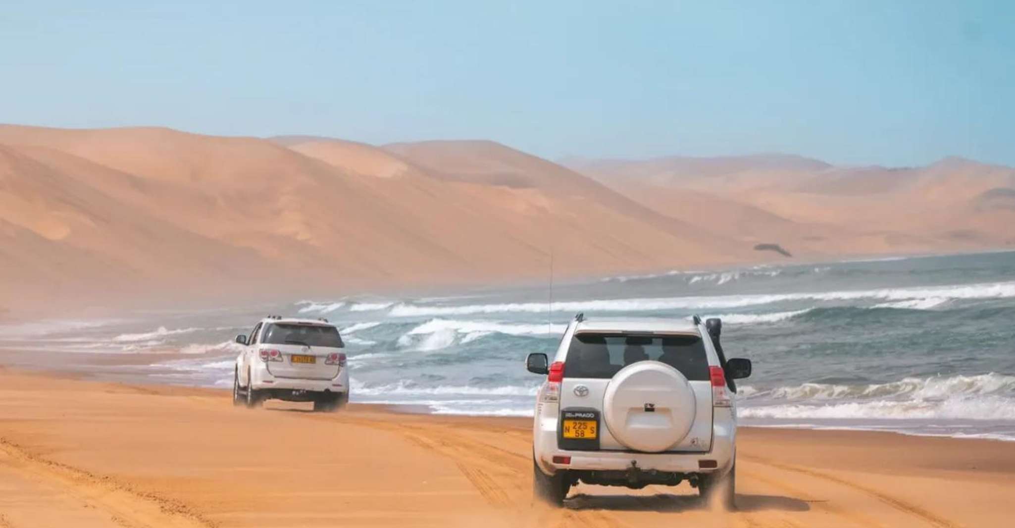 Doha:ATV,Quad or Buggy Dune Bashing,CamelRide & Sandboarding photo 16