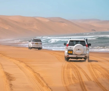 Doha: Safari nel deserto, mare interno, corsa sulle dune in 4x4 e giro in cammello