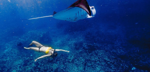 Exmouth: Schnorcheltour mit Schildkröten im Ningaloo Reef