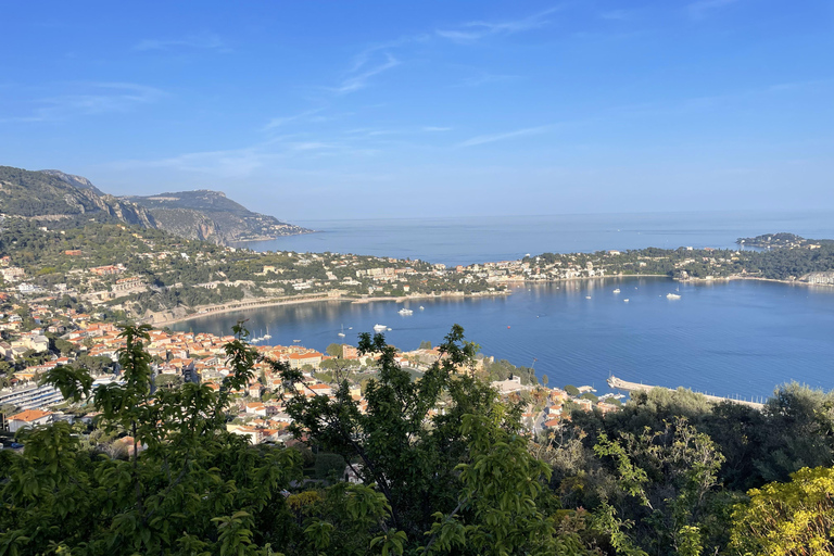 Tour di mezza giornata privato da Nizza a Monaco