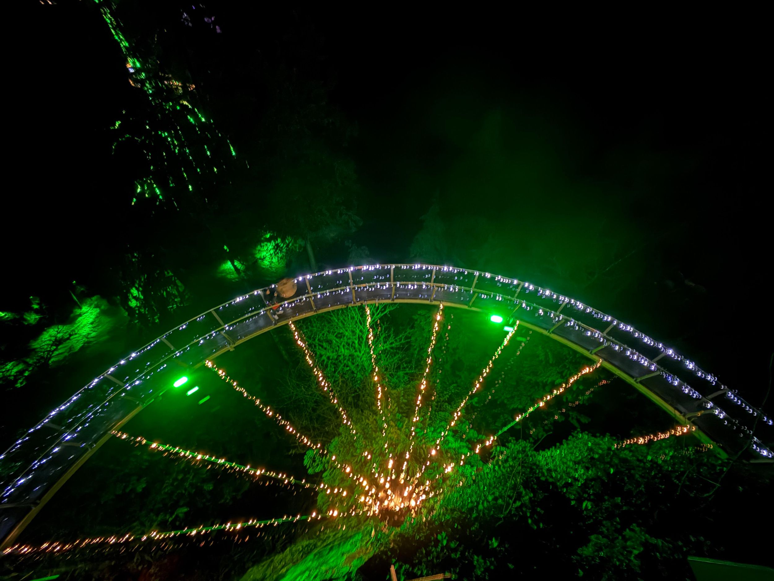 CANYON LIGHTS + Capilano-Hängebrücke/Kleingruppe/AUTO