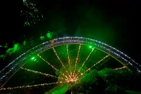 Ponte suspensa de Capilano/Charisma's Canyon Light/LUX CAR