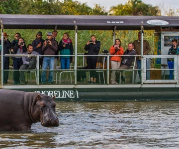 St Lucia: Hippo and Crocodile Cruise on a 15-Seat Vessel