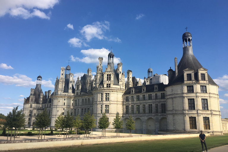 Loire Valley Castles: VIP Private Tour from Paris 3 Castles