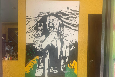 Bob Marley, Blue Hole, Secret Falls and Luminous Lagoon Tour From Montego Bay/ Falmouth/ Trelawny