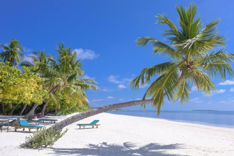 Zanzibar: Nungwi Horseback Ride and Sunset Dhow Cruise unforgetable experience