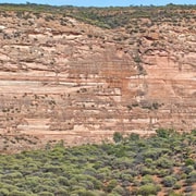 From Perth: 5-Day Private Monkey Mia & Pinnacles Tour