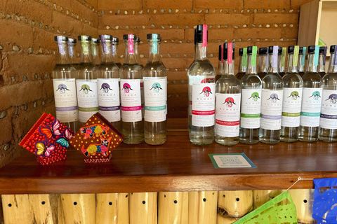 Oaxaca:full‑day tour Monte Alban, mezcal ancestral, alebrijes y barro negro