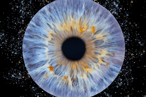 Montreal: Imaginarium Museum Immersive Selfie + Iris Capture Combo Montreal: Imaginarium Museum Immersive Selfie + Iris Scan Combo