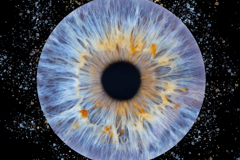 Montreal: Imaginarium Museum Immersive Selfie + Iris Capture Combo Montreal: Imaginarium Museum Immersive Selfie + Iris Scan Combo