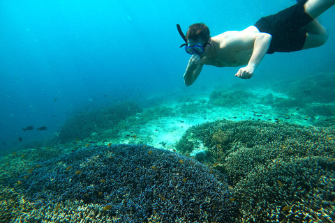 Plongée en apnée en groupe privé sur les 3 îles Gili à partir de Gili Trawangan