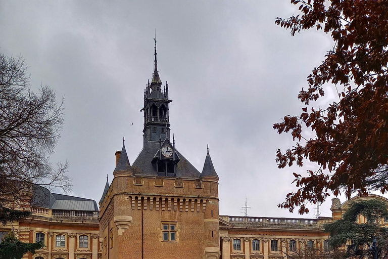 Tour guiado privado por la ciudad de Toulouse