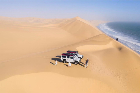 Doha: Inland Sea Desert Safari With All Activities Group: Desert Safari , inland sea , Sandboarding