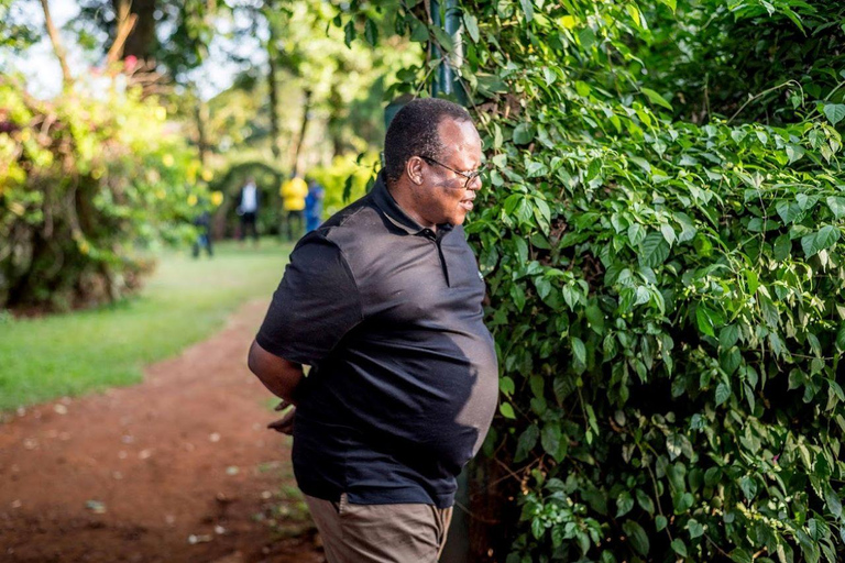 TOUR GIORNALIERO DELLA FATTORIA DEL CAFFÈ FAIRVIEW