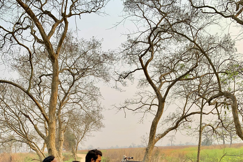 From Jaipur: Ranthambore Tiger Safari One Day Trip