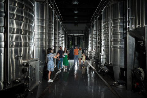 Bordeaux: Hedonistyczna wizyta i degustacja w Château de ReignacBordeaux: Hedonistyczna wizyta/degustacja w Château de Reignac