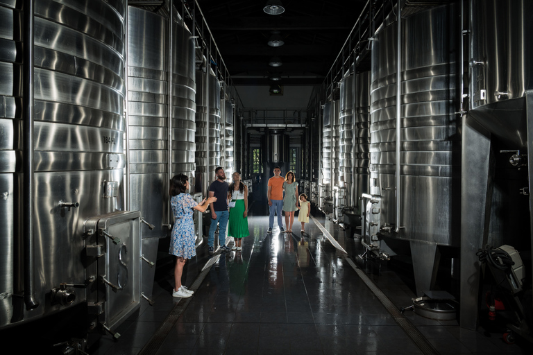 Bordeaux: Hedonistyczna wizyta i degustacja w Château de ReignacBordeaux: Hedonistyczna wizyta/degustacja w Château de Reignac