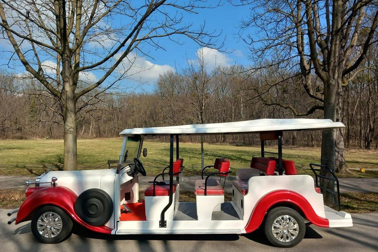 Wenen: sightseeingtour in een klassieke auto uit 1920Rondleiding van 60 minuten