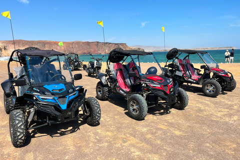 Paracas: Golden Shadows Experience on ATV / Minibuggy Paracas: Golden Shadows Experience on an ATV / Minibuggy
