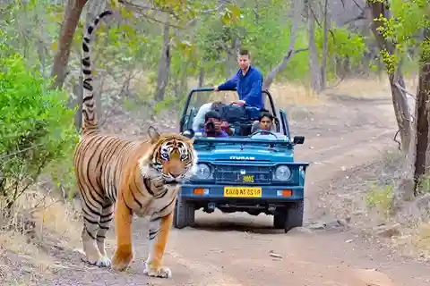 From Delhi: 4-Day Golden Triangle & Ranthambore Tiger Safari