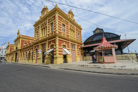 Manaus: Historic Center Guided Walking Tour