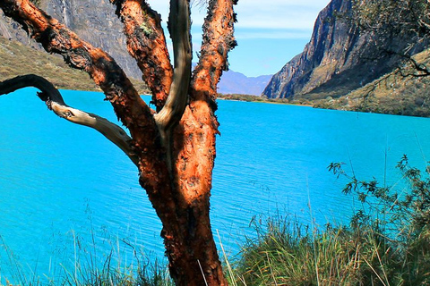 Huaraz| Lagunes et montagnes 3D |Déjeuner et entrées|