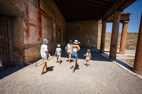 From Naples Port: Pompeii Guided Walking tour or smart guide English guided tour