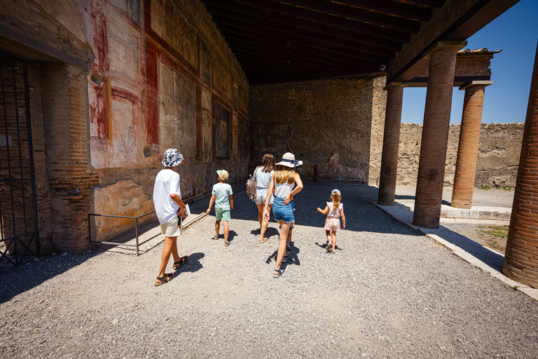 From Naples Port: Pompeii Guided Walking tour or smart guide English guided tour