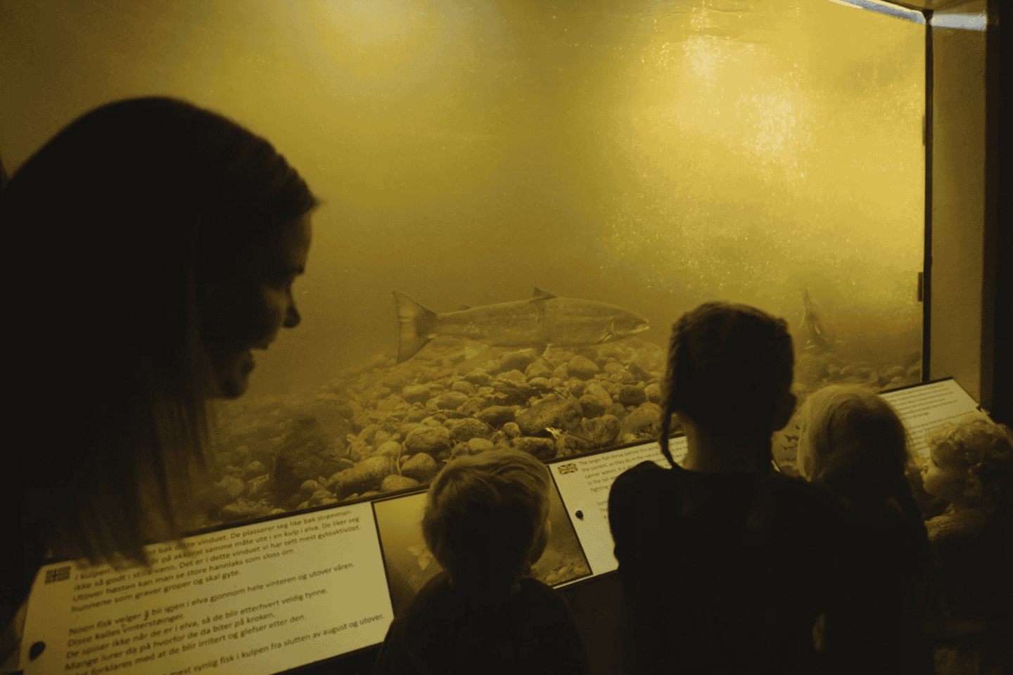 Kristiansand: Wild Salmon Center Guided Tour with Bus Ride