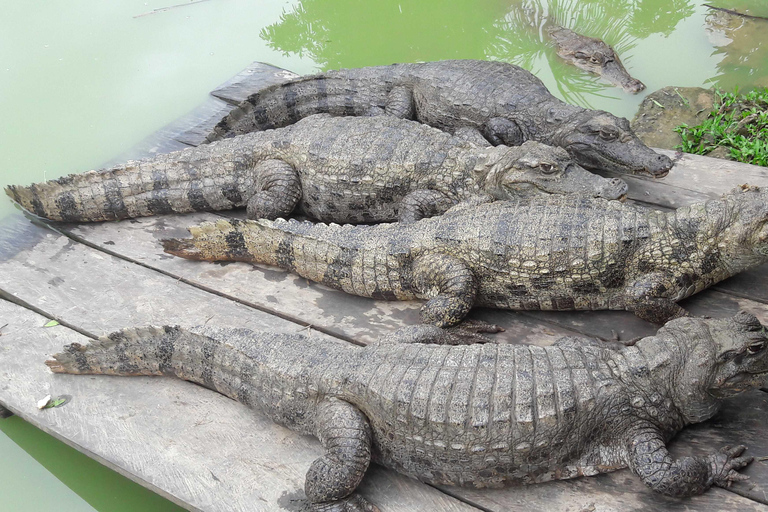 Iquitos: Amazonas 3 days 2 nights in Lodge and activities