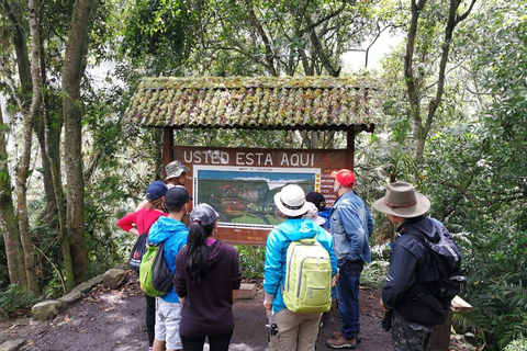 Explore biodiversity in the Chicaque forest Nature Reserve