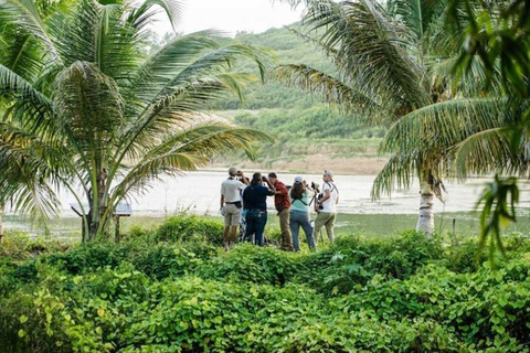 Barbados: Bird Watching Experience