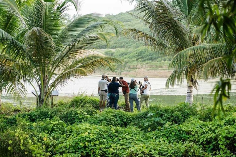 Barbados: Bird Watching Experience