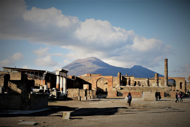 Pompeii: Exclusive 2h private tour with tickets & transfer Exclusive 2h Private Tour with Tkts & Transfer from Naples