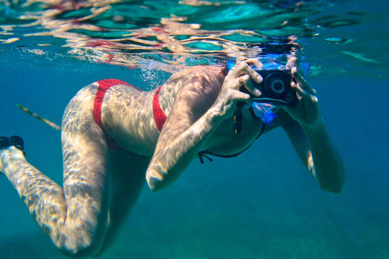 Hurghada: Excursión en barco a la Casa de los Delfines con snorkel