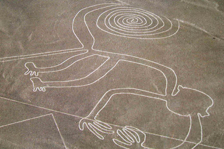 From Ica: Flight over the Nazca Lines