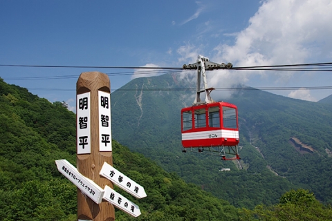 Visite touristique de Nikko en charter privé avec guideDepuis Tokyo : Nikko visite privée d'une journée