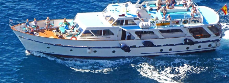 La Gomera : Tour en bateau pour observer les baleines