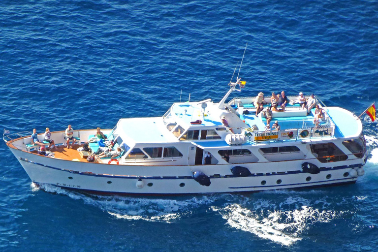 La Gomera: Whale Watching Tour on an Vintage BoatExcursion from Valle Gran Rey