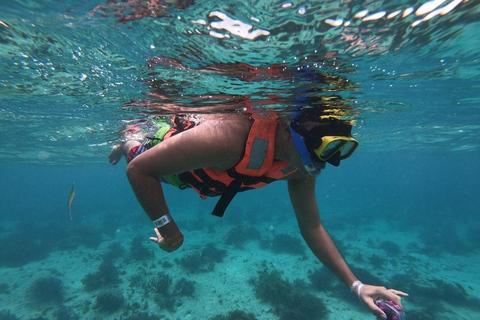 Cancun : Excursion en catamaran à Isla Mujeres avec déjeuner et plongée en apnéeCircuit au départ de Playa del Carmen