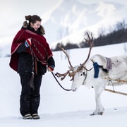From Tromsø: Reindeer Sledding at Camp Tamok
