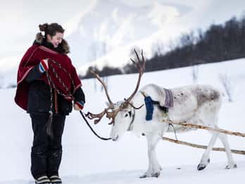 Camp Tamok day trip — reindeer camp in the Tamok valley