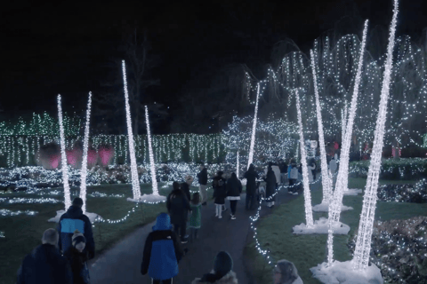 Vancouver: Kerstverlichting Karaoke Trolley Tour