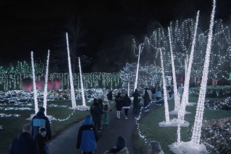 Vancouver : Tour en trolley des lumières de Noël avec karaoké