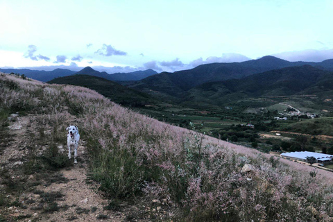 Dolda vandringsleder med hundar i Sierra Norte Monutains