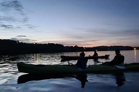 West Cork: Night Kayaking Tour in Castlehaven Bay - Image 2