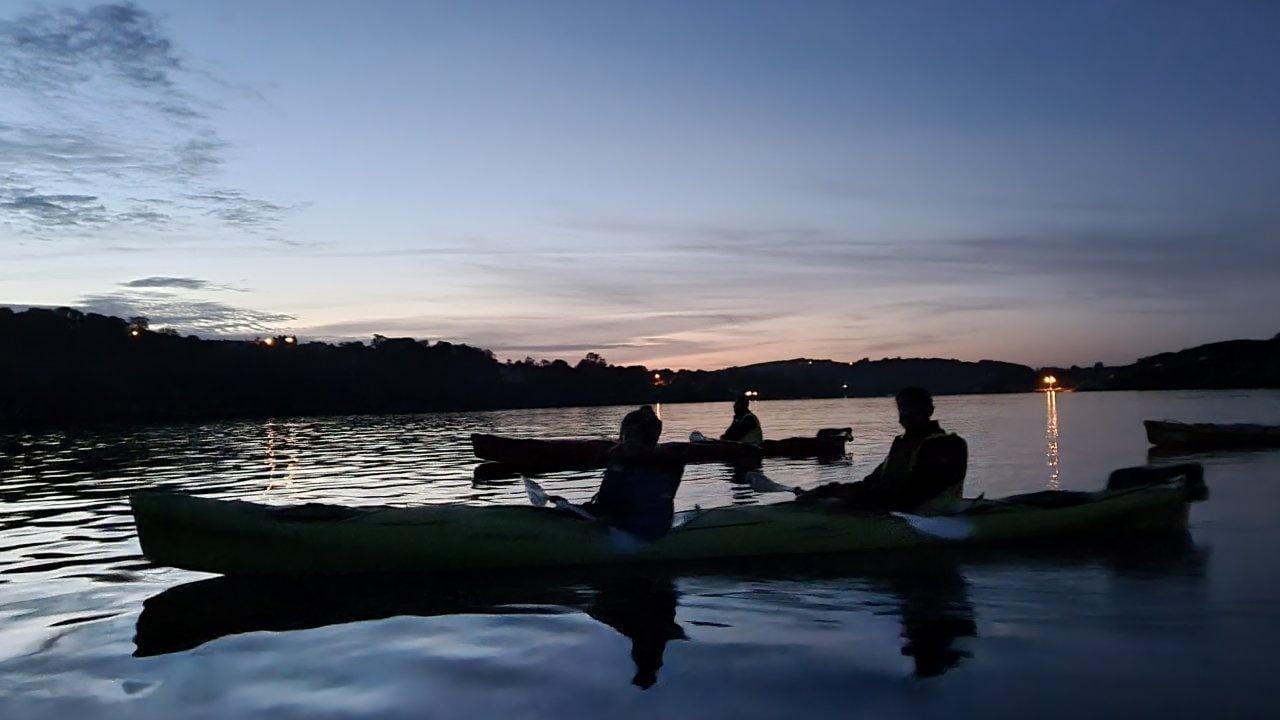 West Cork: Nacht-Kajaktour in der Castlehaven Bay