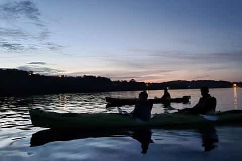 West Cork: Night Kayaking Tour in Castlehaven Bay - Image 3