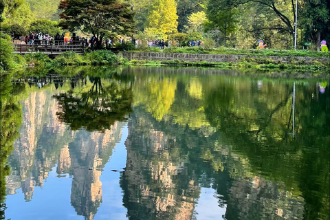 Zhangjiajie: Avatar Mountain Tickets and Fast Track