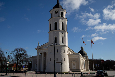 Vilnius: Privé stadsrondleiding van een halve dag met een minibusje